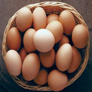 Eggs-12pcs